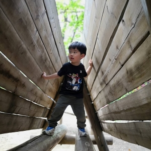 平和島、平和の森公園フィールドアスレチック