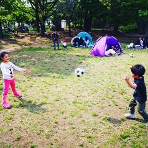 平和島、平和の森公園フィールドアスレチック